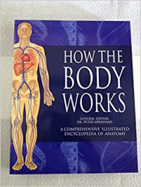 How The Body Works