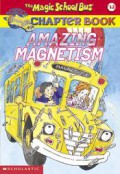 Amazing Magnetism