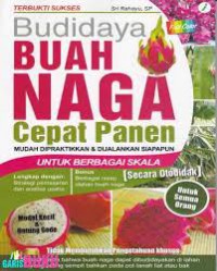 BUDIDAYA BUAH NAGA CEPAT PANEN Mudah Dipraktikkan & Dijalankan Siapapun